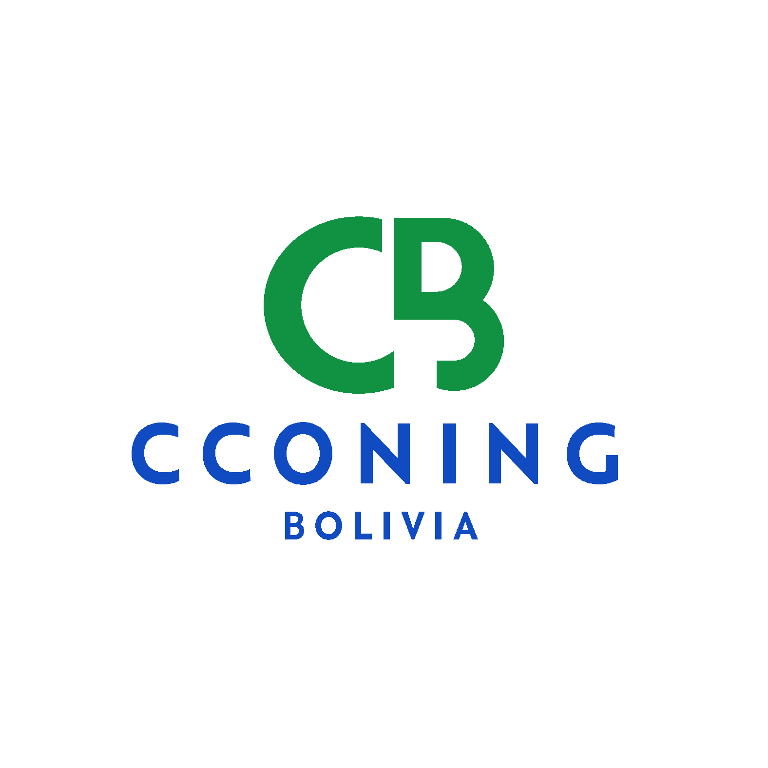CONNINGBOLIVIA